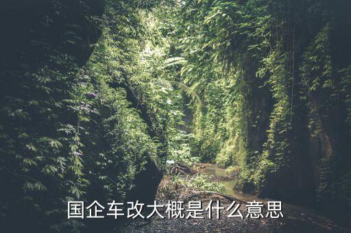 央企什么時(shí)候啟動(dòng)車(chē)改，國(guó)企車(chē)改大概是什么意思