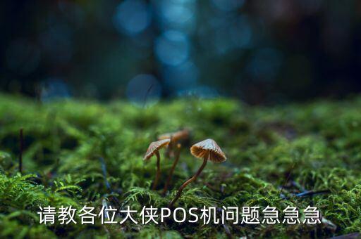 請教各位大俠POS機(jī)問題急急急