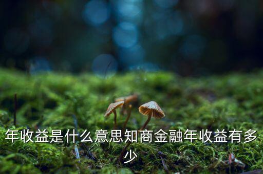 資金占用年收益是什么意思，利息支出中有個資金占用費(fèi)這個是什么意思