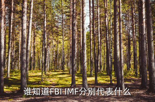 誰知道FBI IMF分別代表什么