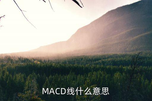 MACD線什么意思