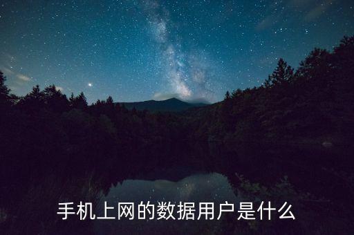 什么叫移動過網(wǎng)用戶，什么是移動上網(wǎng)用戶