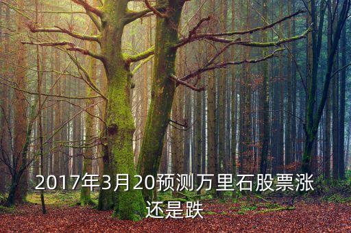 2017年3月20預(yù)測(cè)萬里石股票漲還是跌