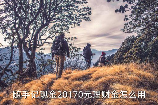 隨手記現(xiàn)金20170元理財金怎么用