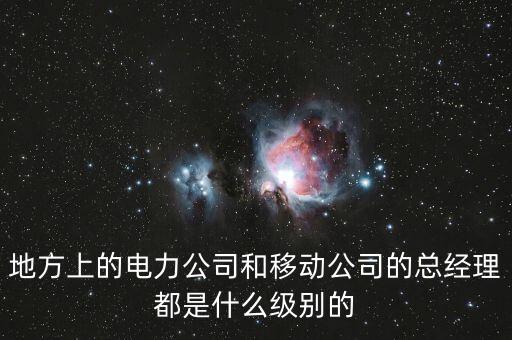 地方上的電力公司和移動公司的總經(jīng)理都是什么級別的