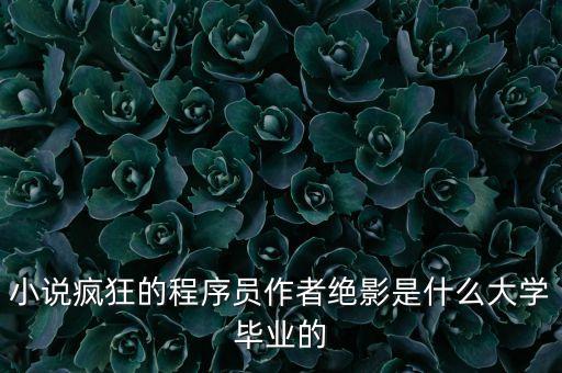 小說瘋狂的程序員作者絕影是什么大學(xué)畢業(yè)的