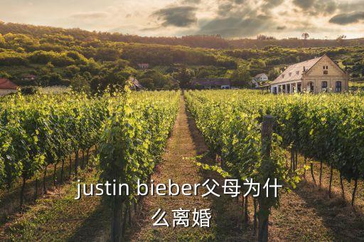 justin bieber父母為什么離婚