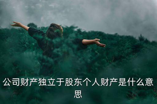 什么是獨立股東，公司財產(chǎn)獨立于股東個人財產(chǎn)是什么意思