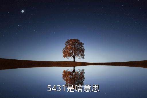 54321什么意思，54321是什么意思