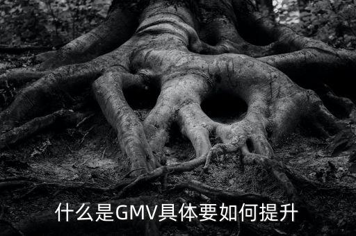 什么是GMV具體要如何提升