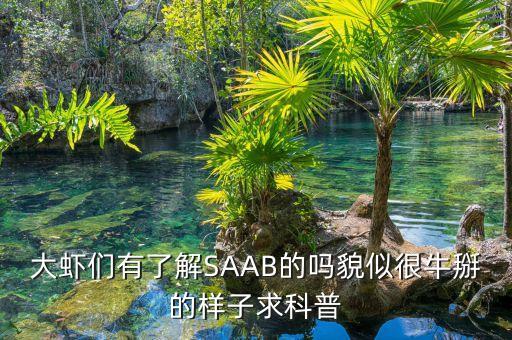 saab技術(shù)是什么，大蝦們有了解SAAB的嗎貌似很牛掰的樣子求科普