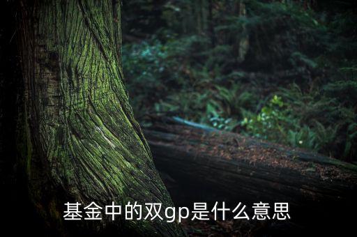 基金中的雙gp是什么意思