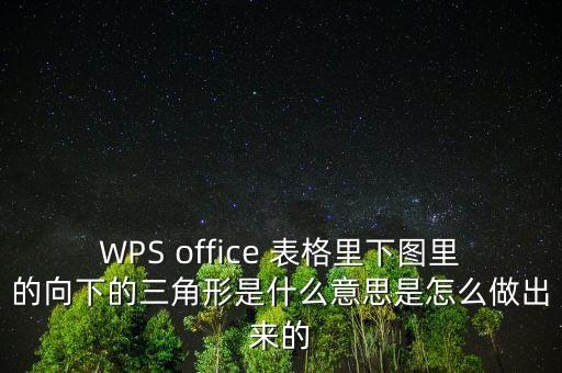 WPS office 表格里下圖里的向下的三角形是什么意思是怎么做出來的