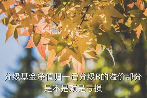 分級基金凈值歸一后分級B的溢價(jià)部分是不是就是虧損