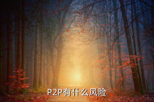 p2p風(fēng)險是什么，P2P有什么風(fēng)險