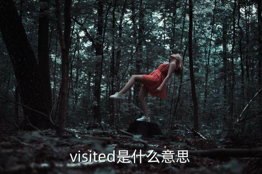 visited是什么意思