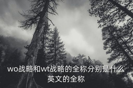 跳躍戰(zhàn)略屬于什么戰(zhàn)略，wo戰(zhàn)略和wt戰(zhàn)略的全稱分別是什么英文的全稱