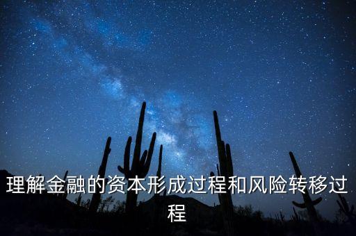 理解金融的資本形成過(guò)程和風(fēng)險(xiǎn)轉(zhuǎn)移過(guò)程