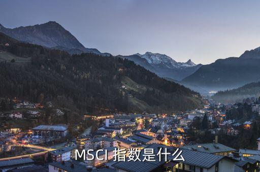 MSCI 指數(shù)是什么