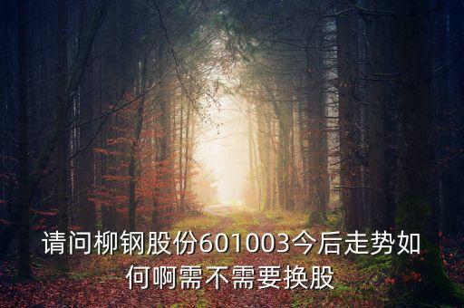 請(qǐng)問(wèn)柳鋼股份601003今后走勢(shì)如何啊需不需要換股