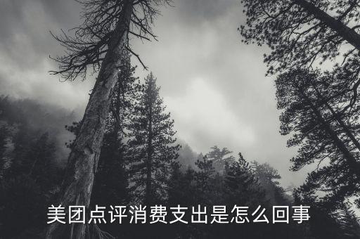 美團點評交易是什么，支付寶有QQ號碼嗎