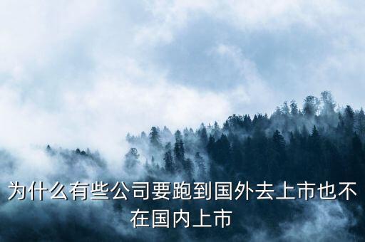 為什么有些公司要跑到國(guó)外去上市也不在國(guó)內(nèi)上市