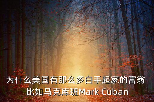 為什么美國有那么多白手起家的富翁 比如馬克庫班Mark Cuban