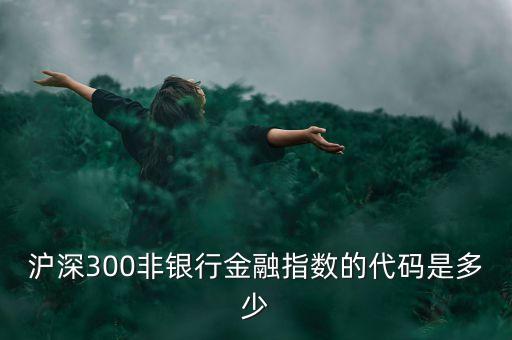 什么是300非銀指數(shù)，滬深300非銀行金融指數(shù)的代碼是多少