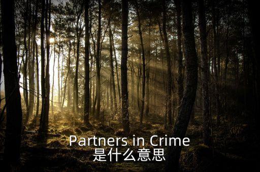 Partners in Crime是什么意思