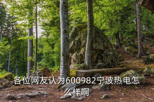 各位網(wǎng)友認(rèn)為600982寧波熱電怎么樣啊