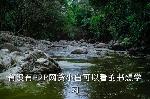 有沒(méi)有P2P網(wǎng)貸小白可以看的書(shū)想學(xué)習(xí)