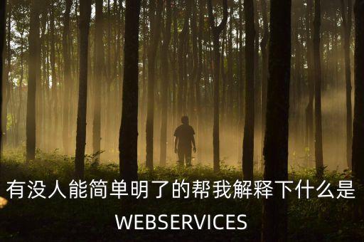 有沒人能簡單明了的幫我解釋下什么是WEBSERVICES