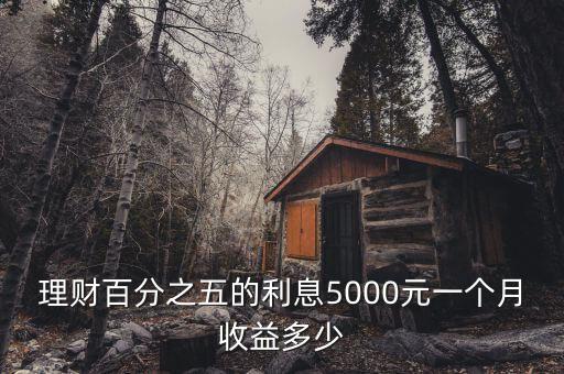 理財(cái)百分之五的利息5000元一個(gè)月收益多少