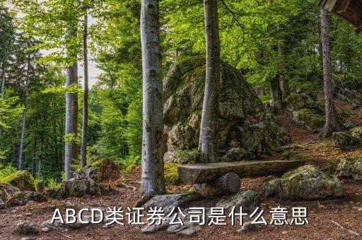 ABCD類證券公司是什么意思