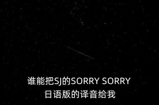 誰(shuí)能把SJ的SORRY SORRY日語(yǔ)版的譯音給我