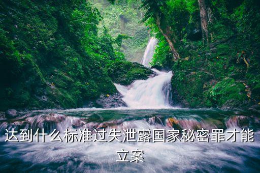 達(dá)到什么標(biāo)準(zhǔn)過失泄露國家秘密罪才能立案