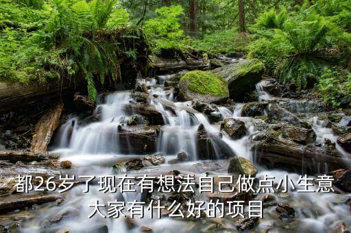 都26歲了現(xiàn)在有想法自己做點(diǎn)小生意大家有什么好的項(xiàng)目