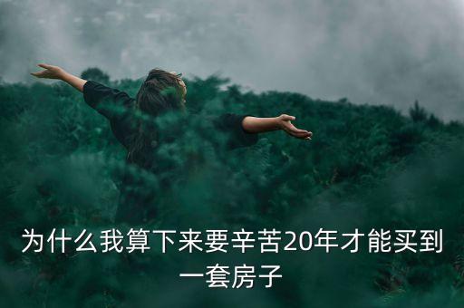 我為什么一年買(mǎi)一套房子，為什么我算下來(lái)要辛苦20年才能買(mǎi)到一套房子