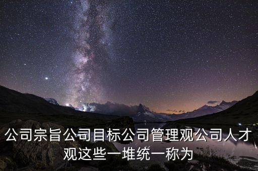 公司宗旨公司目標(biāo)公司管理觀公司人才觀這些一堆統(tǒng)一稱為