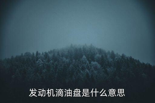 發(fā)動機(jī)滴油盤是什么意思