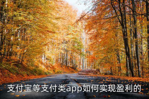 支付寶等支付類app如何實現(xiàn)盈利的