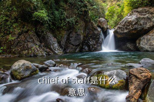 chief of staff是什么意思