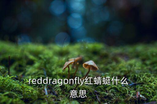 紅蜻蜓wto什么意思，WTO是什么意思