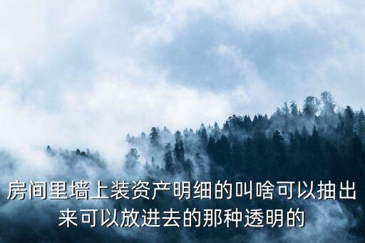 房間里墻上裝資產(chǎn)明細的叫啥可以抽出來可以放進去的那種透明的