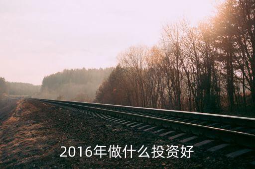 2016年做什么投資好