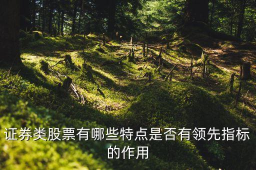 證券類(lèi)股票有哪些特點(diǎn)是否有領(lǐng)先指標(biāo)的作用