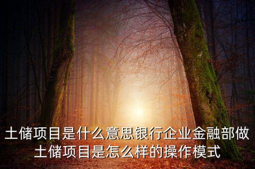 土儲項目是什么意思銀行企業(yè)金融部做土儲項目是怎么樣的操作模式