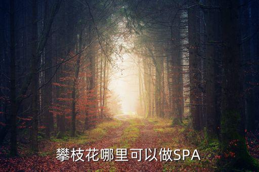 攀枝花哪里可以做SPA