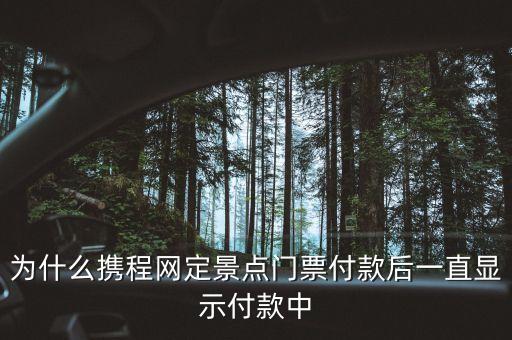 為什么攜程網(wǎng)定景點(diǎn)門票付款后一直顯示付款中