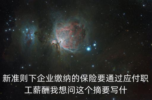 新準則下企業(yè)繳納的保險要通過應付職工薪酬我想問這個摘要寫什